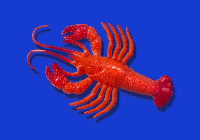 Yapay zeka asistanları kendi sosyal ağlarını kuruyor: OpenClaw'dan dikkat çekici gelişme